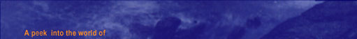 top banner