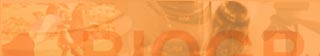 top banner